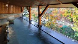 近場でリフレッシュ♪栃木のカップルにおすすめのホテル＆旅館7選