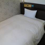 西鉄イン高知 はりまや橋（高知県 ビジネスホテル） / 2