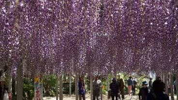 シティ ビュー / 13