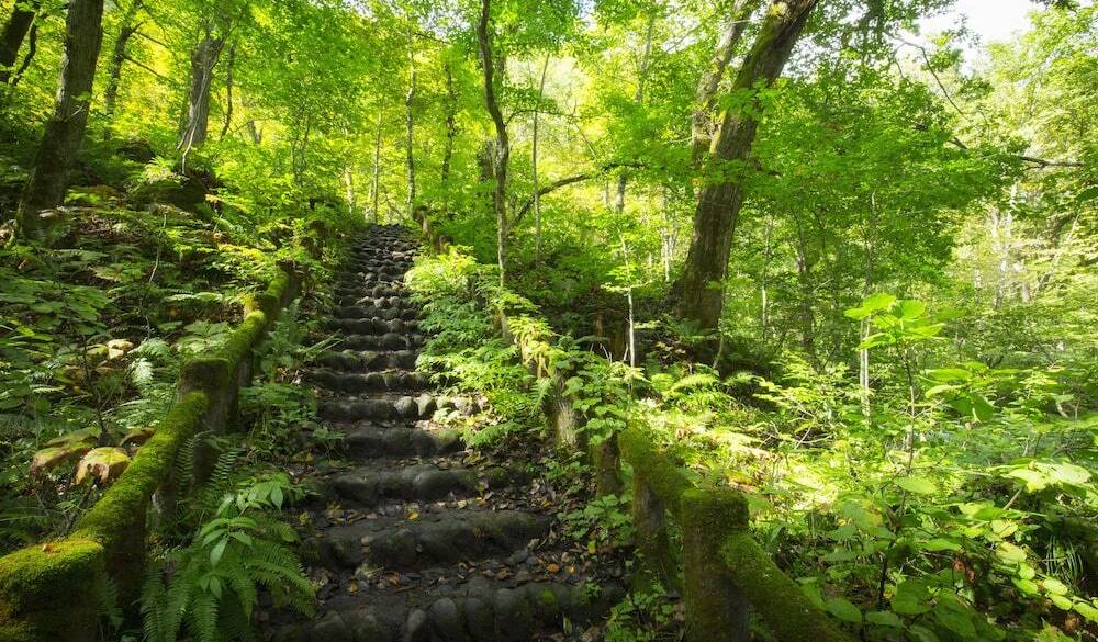 奥入瀬渓流(1) / 1