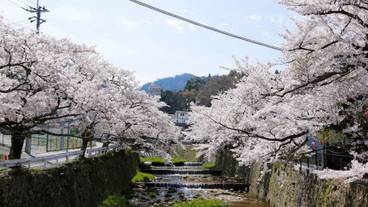 シティ ビュー / 22