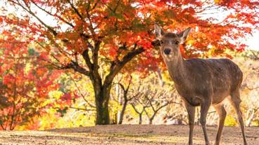 観光スポット / 4