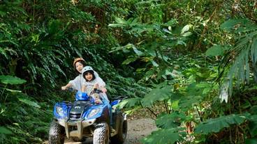 スポーツ設備 / 10