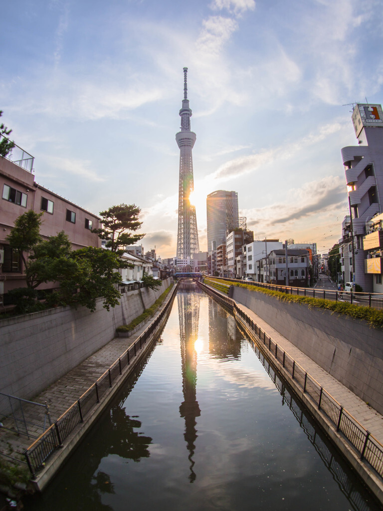 スカイツリーを眺めるならココ 絶景ビュースポットを教えます Icotto イコット