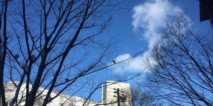 苗場のホテル the Kinta Naeba（新潟県 リゾートホテル） / 1