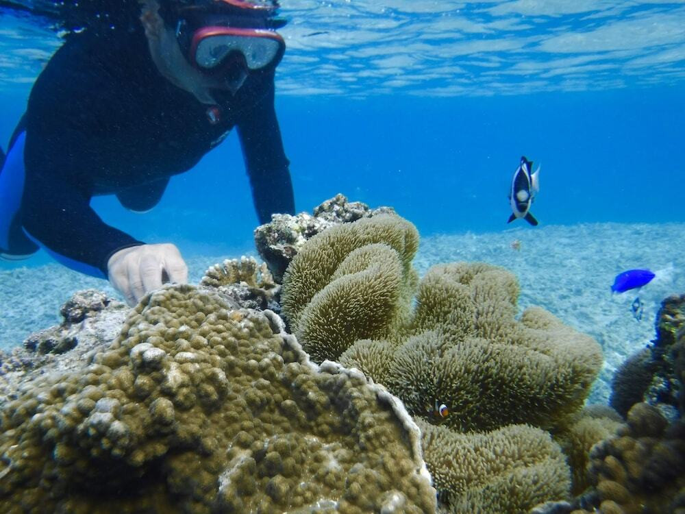 ６．人との出会いが楽しめるセキュリティーの宿『UmiOto ウミオト 【女子旅に大人気の宿】』4265966