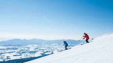 観光スポット / 10