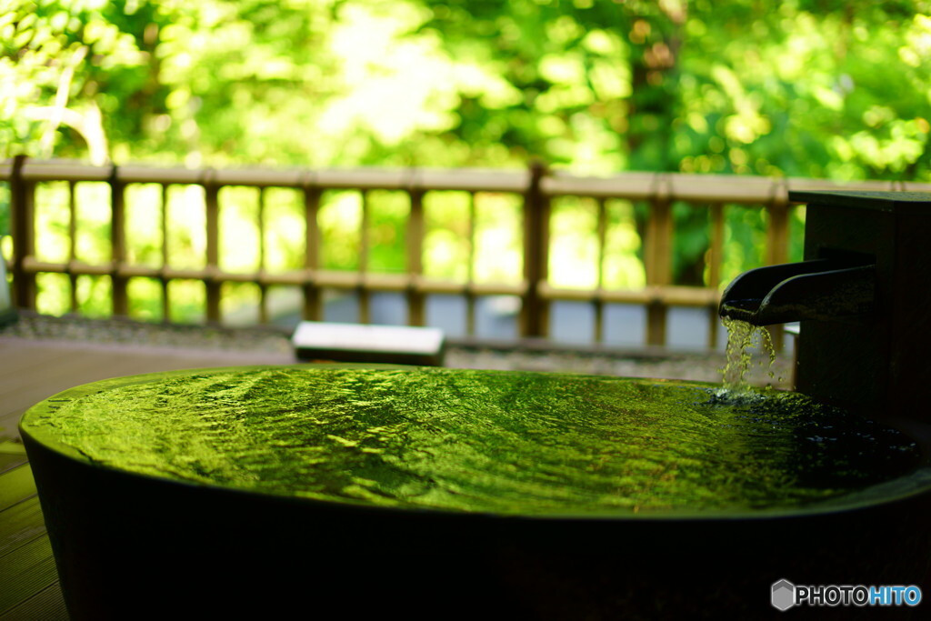 緑溢れる箱根で贅沢なひとときを3502045