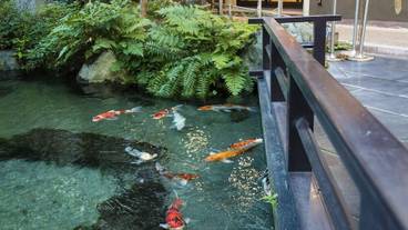 施設内の設備 / 2