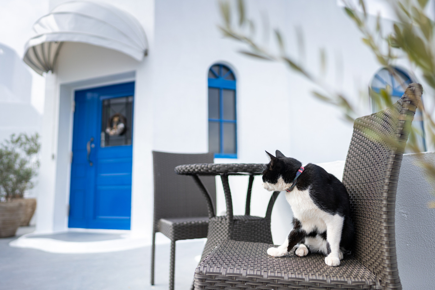 アクセス方法3959112