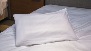 [レギュラーフロア]ダブル/17.0平米