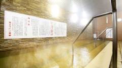 竜王ラドン温泉ホテル 湯ーとぴあ