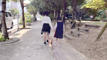 客室 / 19