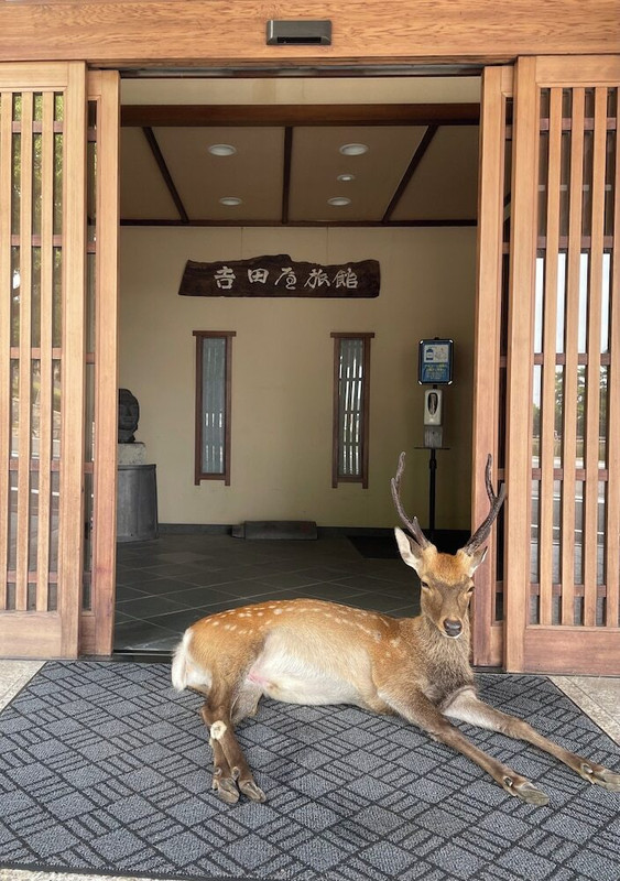 メイン イメージ