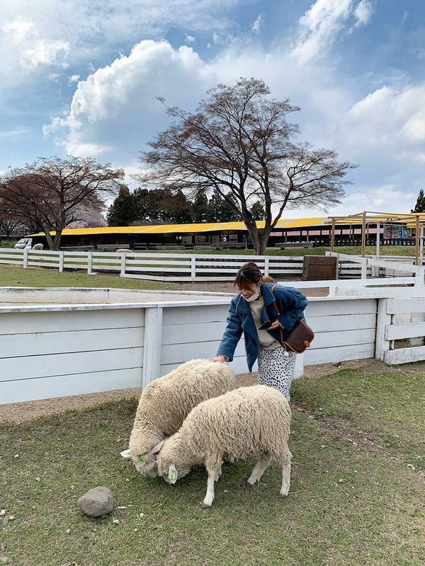 shihoko0922さんの写真 / 5