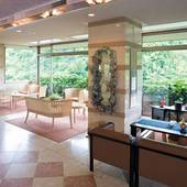 浮羽別館 新紫陽（大分県 旅館） / 2