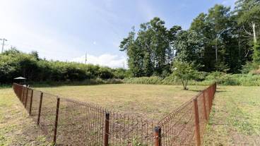 ペット用設備・サービス / 2