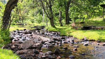 ハイキング / 11