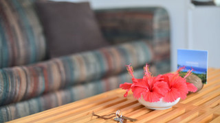 ツインスイートルーム 禁煙 オーシャンビュー (ペット宿泊可)