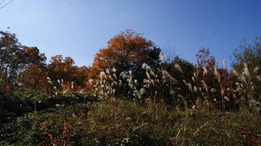施設の敷地 / 17