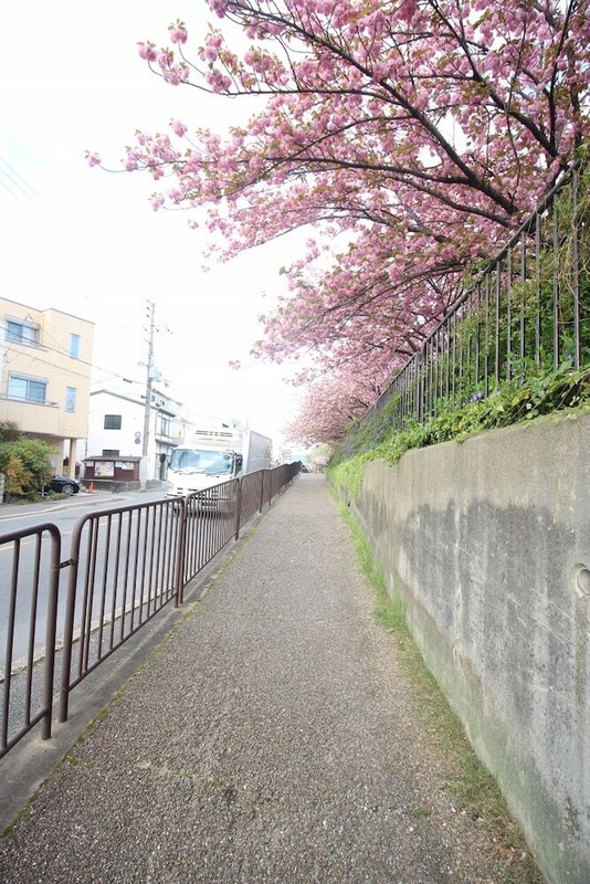 バルコニーからの眺望