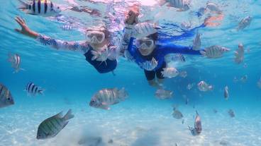 スノーケルツアー(※イメージ) / 1