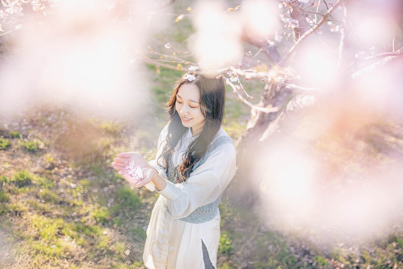 桜咲く樹の下で