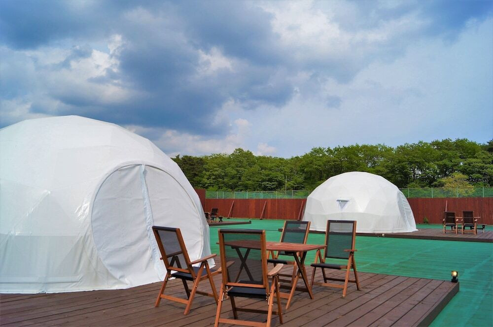 高原のさわやかな空気とアトラクションを思う存分満喫！3918798