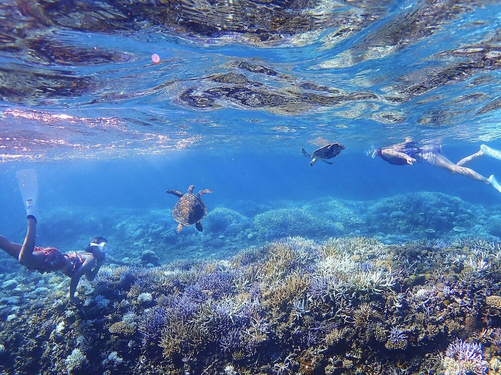 シュノーケリング