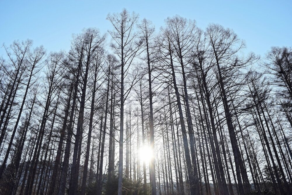 施設からの眺望