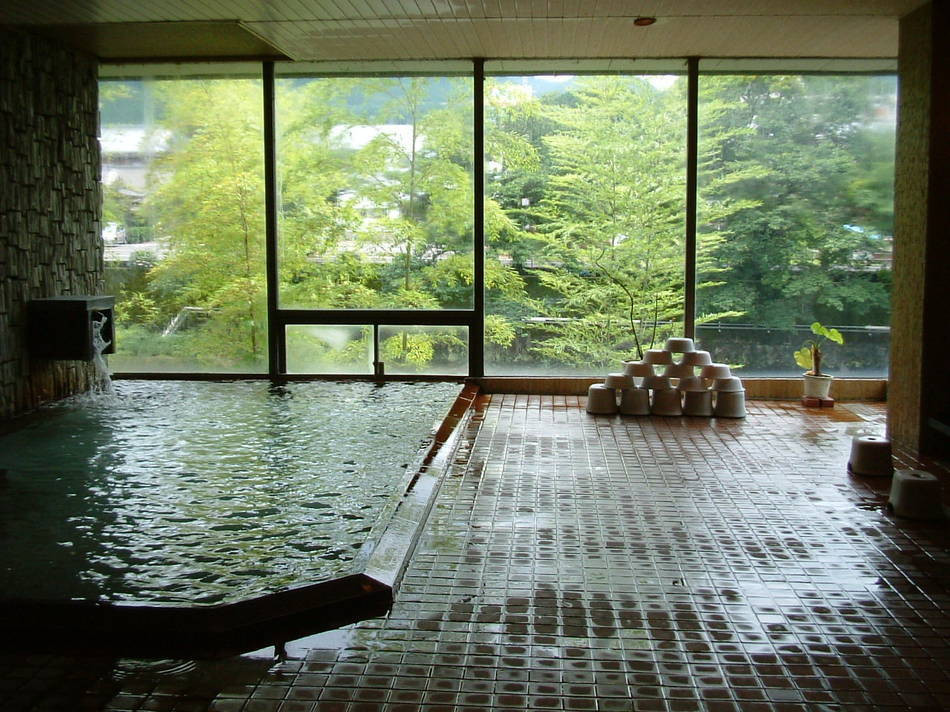 朝夕お部屋食で気兼ねなし♪はじめての旅にも最適の温泉旅館4067567