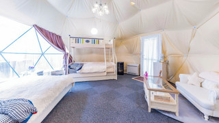 デラックスドーム 禁煙