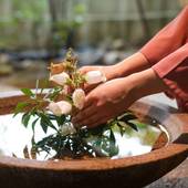 月岡温泉 白玉の湯 泉慶（新潟県 旅館） / 2