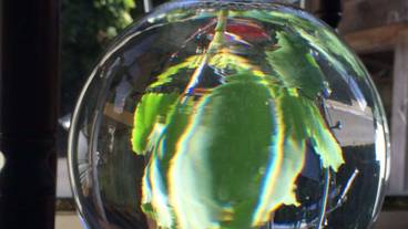 内装の詳細 / 13