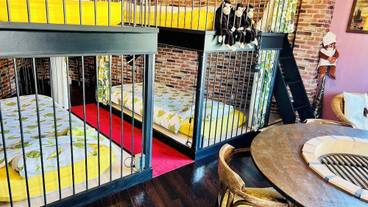 リビング エリア / 15