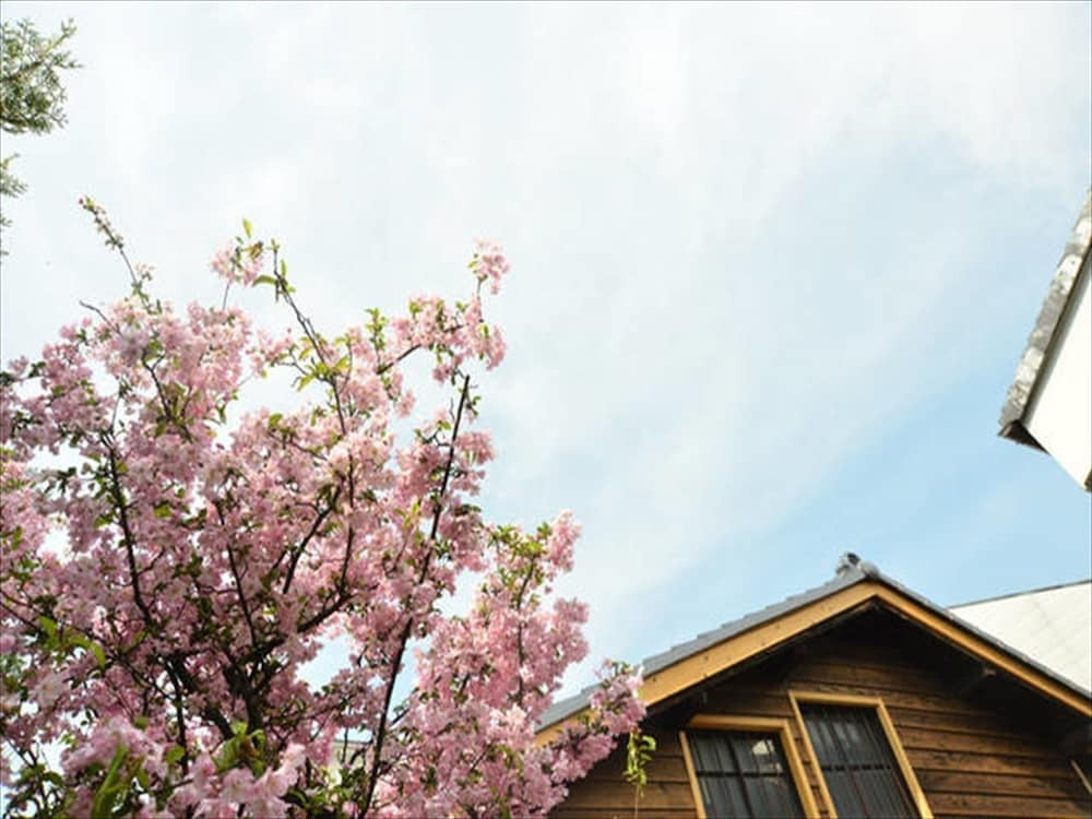 施設からの眺望