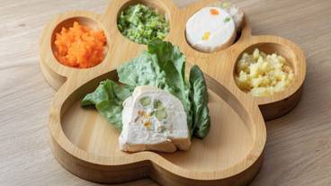 ペット同伴可 / 8