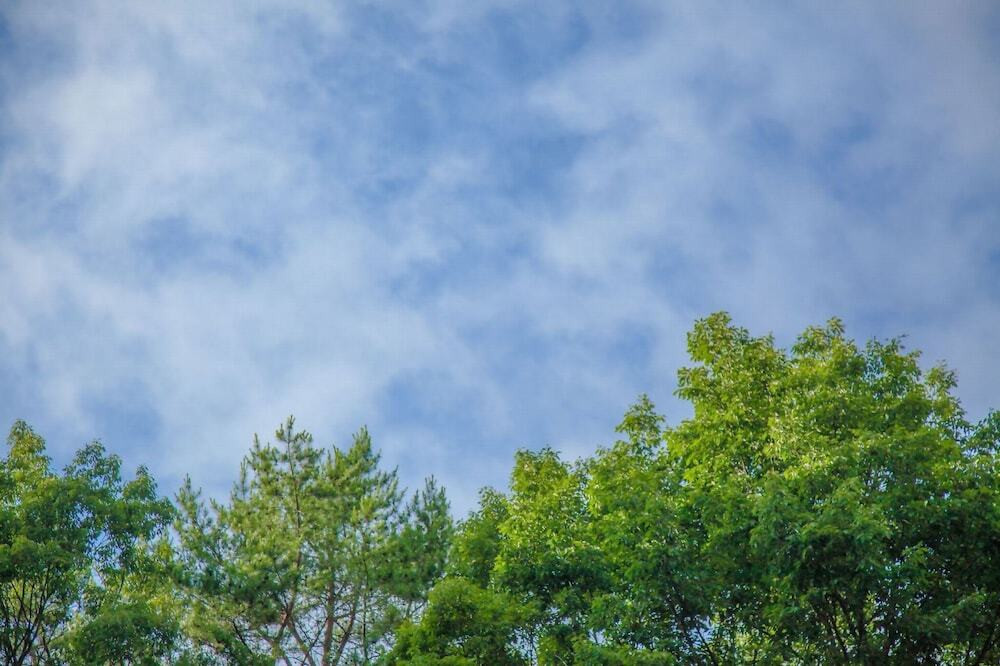 施設からの眺望