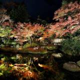 ライトアップ / 5