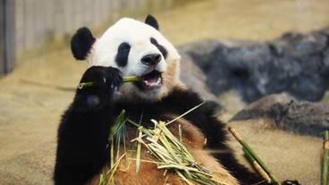 観光スポット / 14