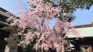 観光スポット / 26