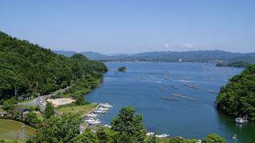 施設からの眺望 / 14