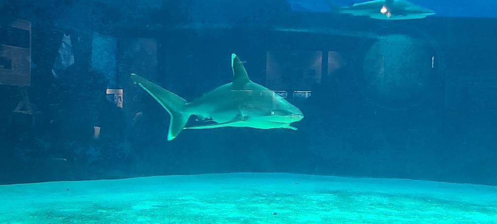 tamaemon2002さんの写真 / 2