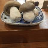 佳肴岡もと(カコウオカモト)