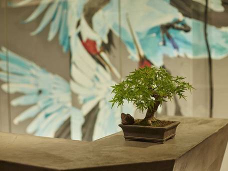 浅草九倶楽部HOTEL / 4