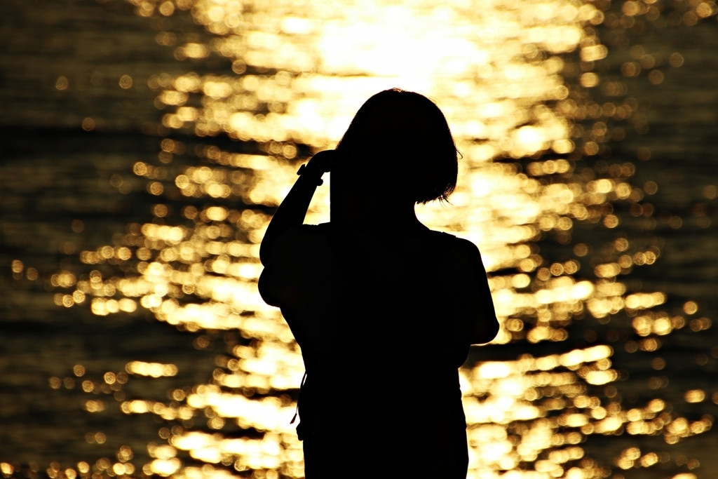 コスパのよい宿でおひとりさまを楽しみましょう3632041