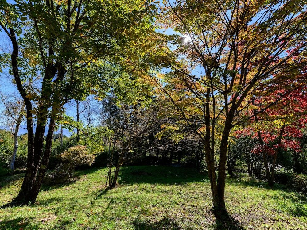 ガーデン ビュー