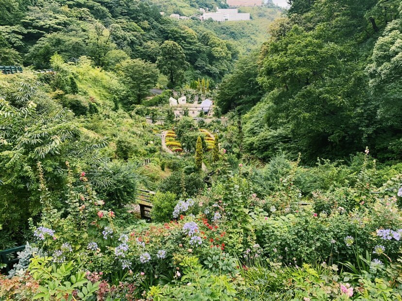 foodie_ol_diaryさんの写真 / 2