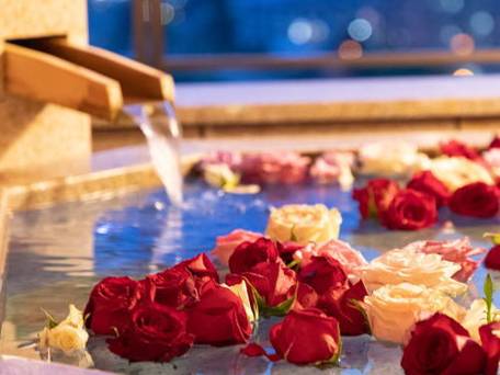 宝塚温泉 ホテル若水 / 4