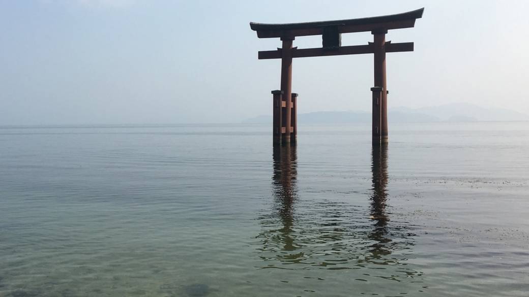 幻想的な白鬚神社 / 4